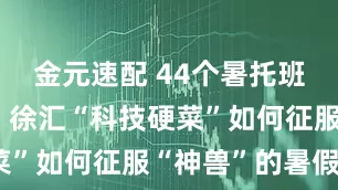 金元速配 44个暑托班火力全开！徐汇“科技硬菜”如何征服“神兽”的暑假？