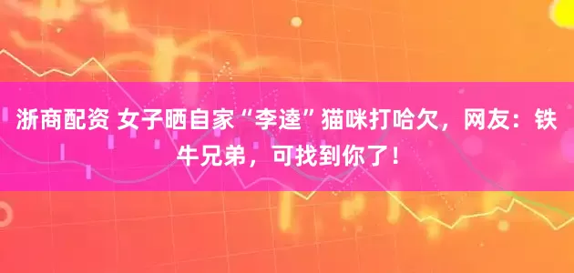 浙商配资 女子晒自家“李逵”猫咪打哈欠，网友：铁牛兄弟，可找到你了！