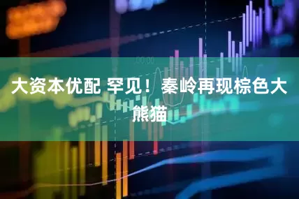 大资本优配 罕见！秦岭再现棕色大熊猫